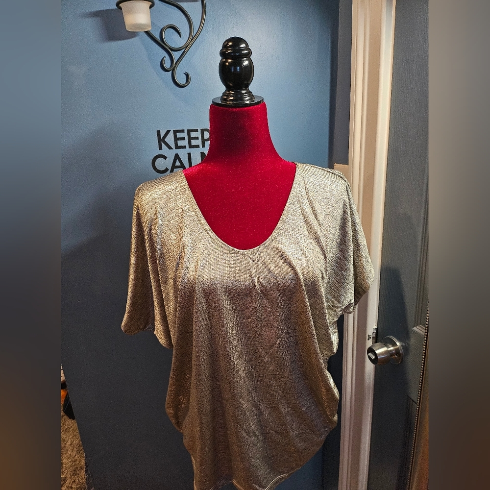 Kim and Cami metallic blouse sz large